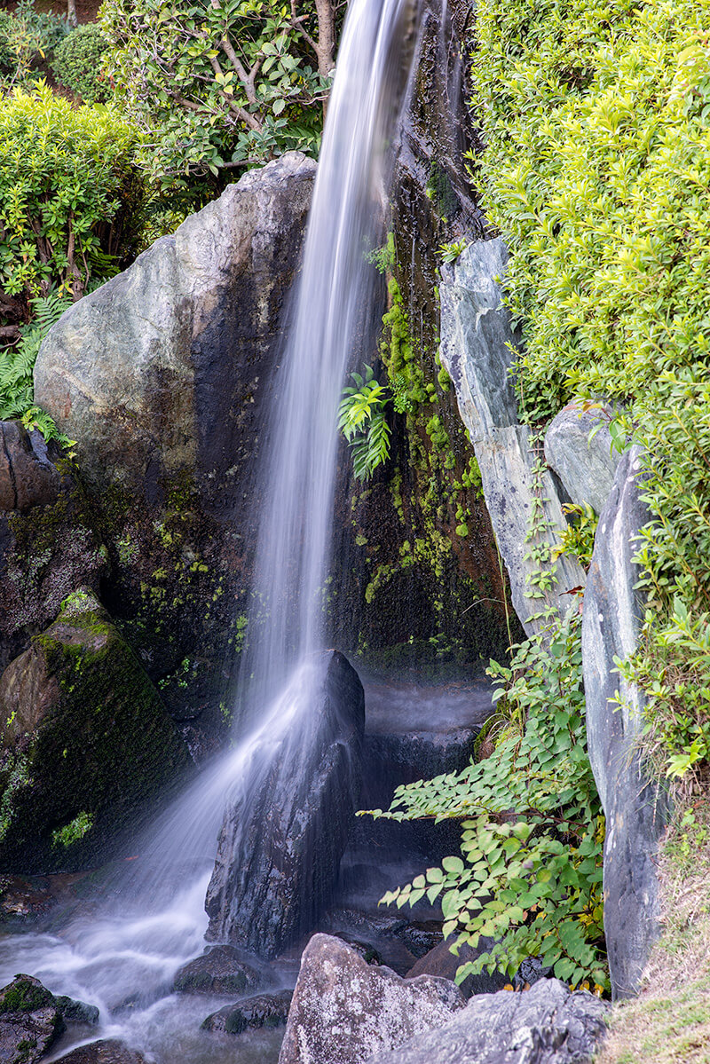 聚花山の庭 龍門の滝