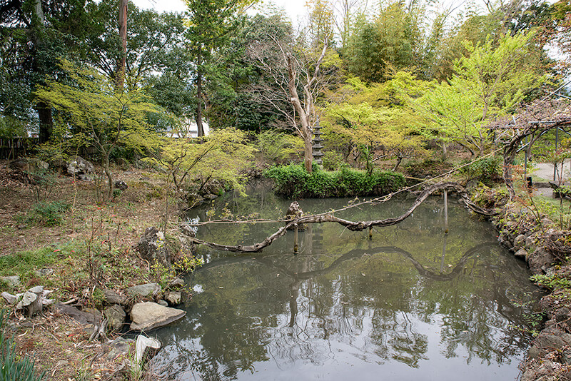 夢窓疎石の池泉庭園