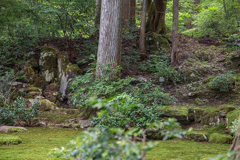 福井県最古の庭園