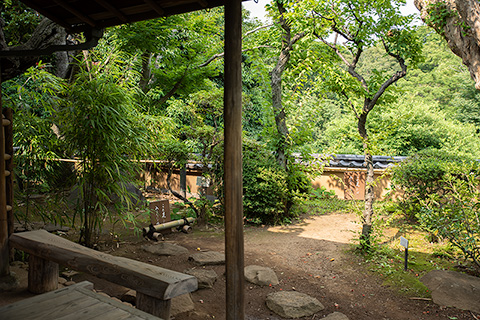 等々力渓谷　日本庭園