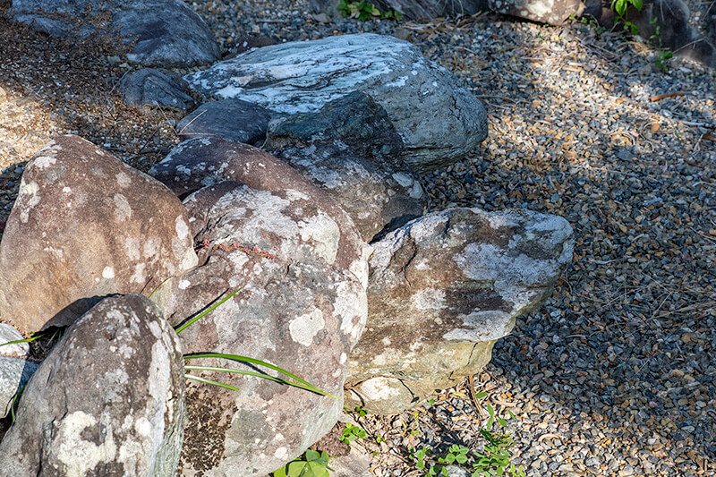 亀頭石