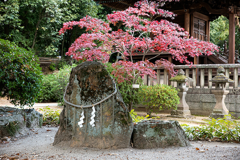 阿智神社の亀頭石