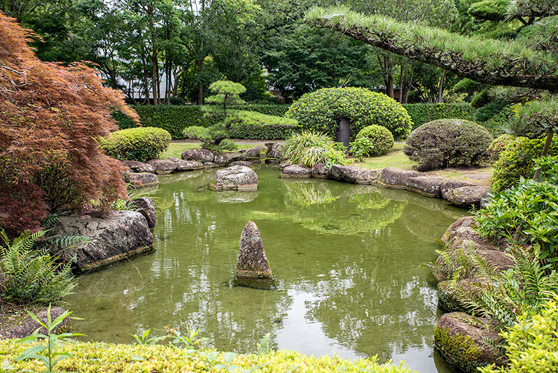 あけぼの山公園 日本庭園 池泉庭園と露地を同時に楽しむ（千葉県柏市）-庭園ガイド