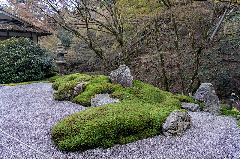 受付横の枯山水