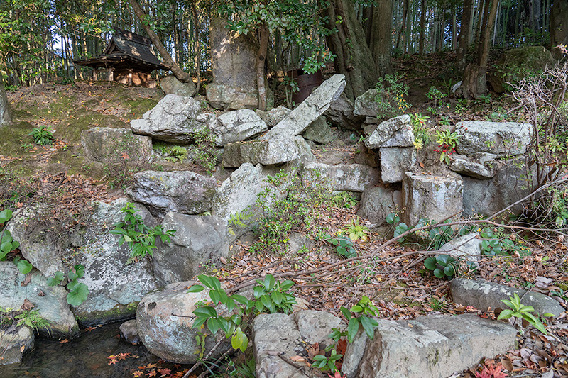 滝石組と蓬莱石