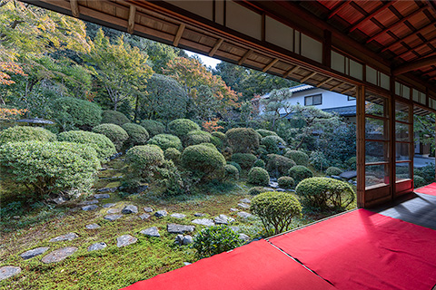 安楽寺