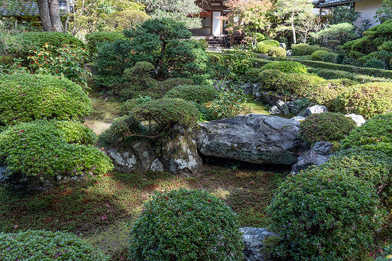 庭園