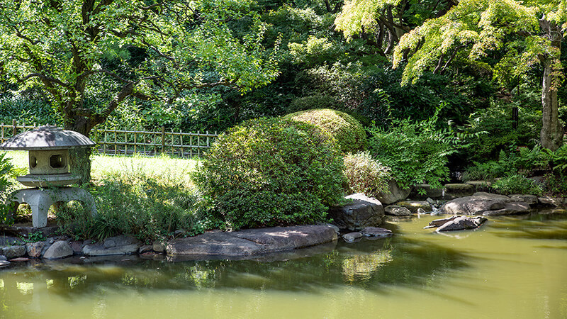日本庭園の護岸石