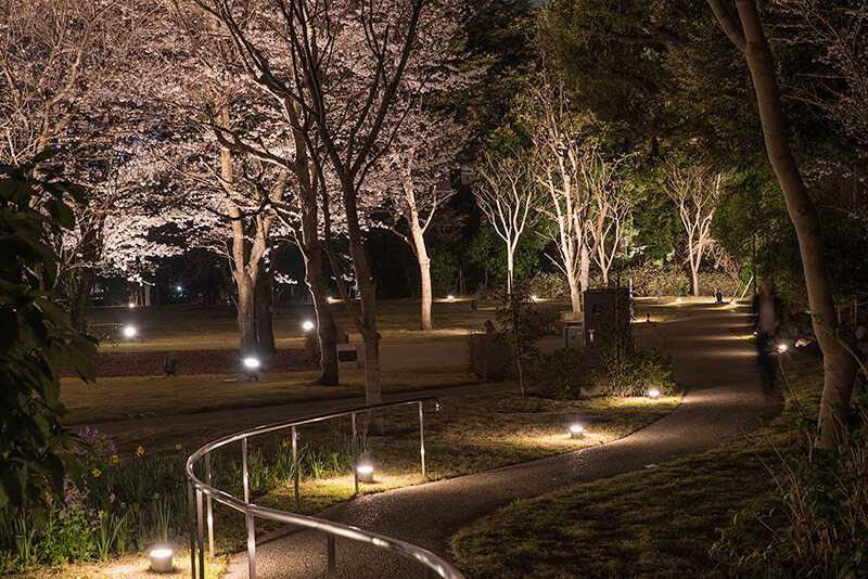 東京都庭園美術館　西洋庭園のライトアップ