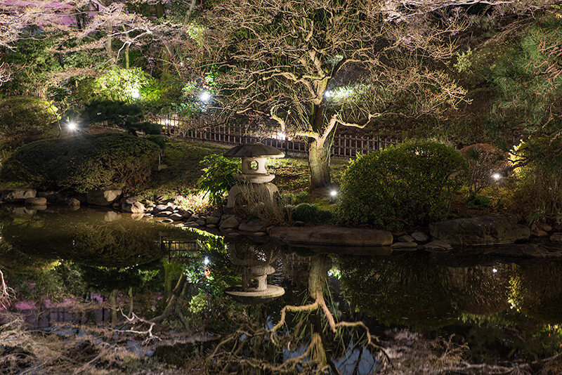 東京都庭園美術館　日本庭園ライトアップ