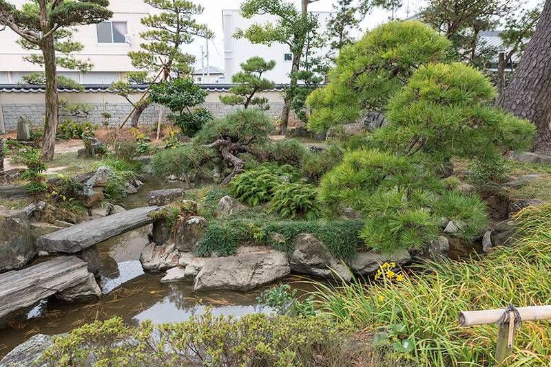 鶴亀の庭