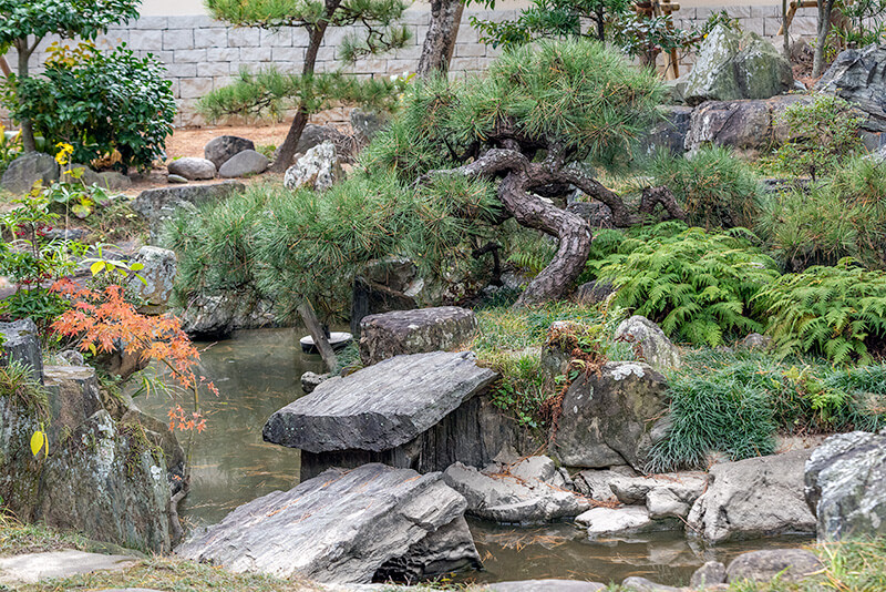 鶴亀の庭の全景