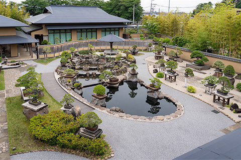 大宮盆栽美術館　盆栽庭園