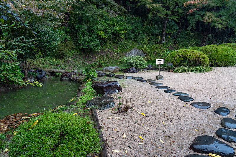 池泉