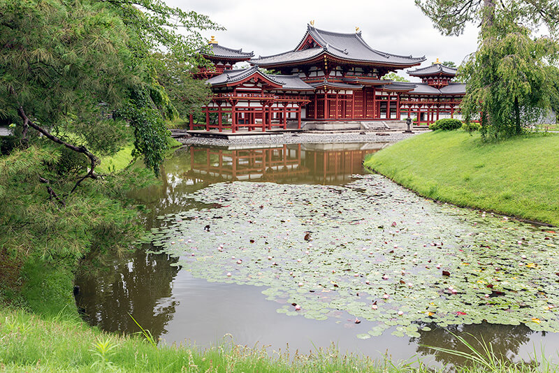 日本庭園の池泉では蓮が多く見られる