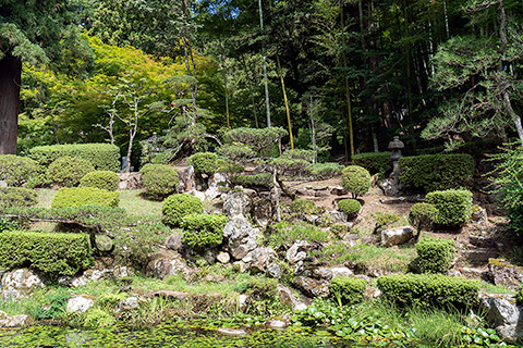 珍蔵寺