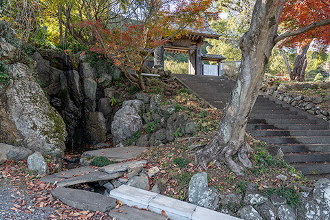 徳願寺