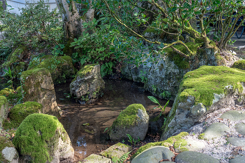 池泉庭園