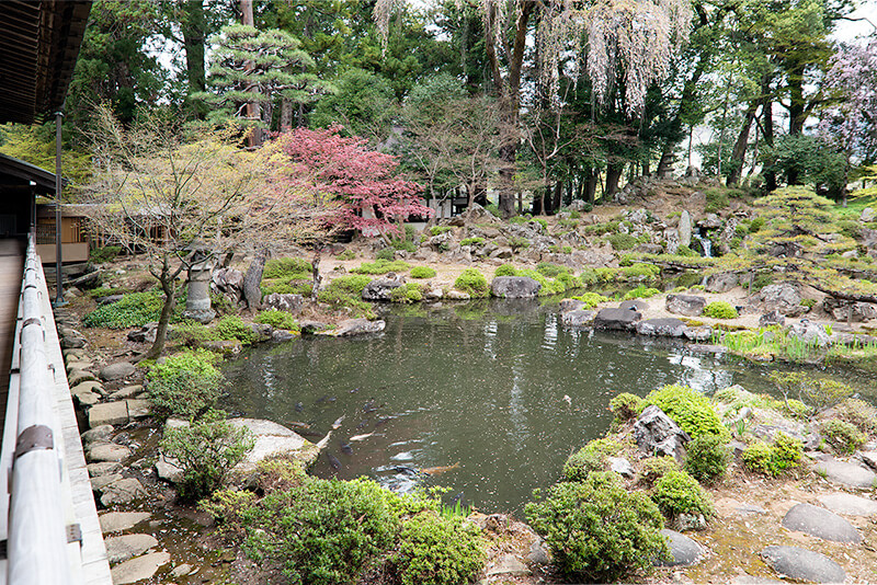 枝垂れ桜と池泉庭園