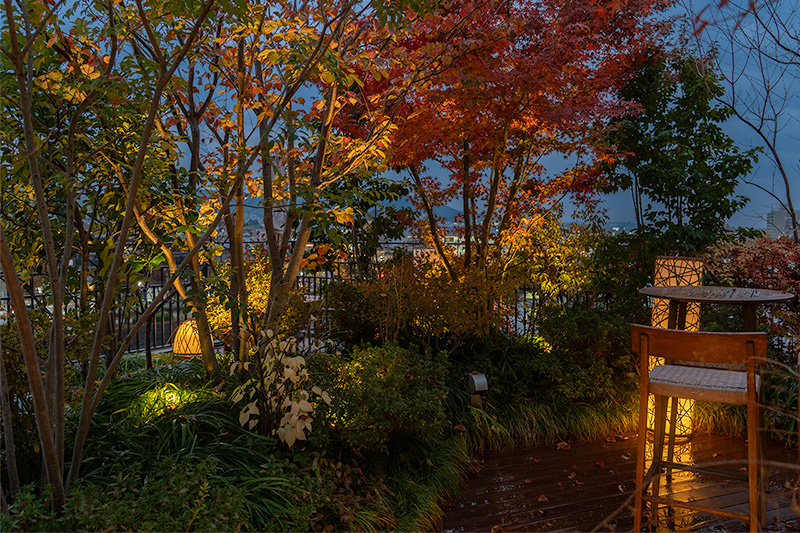 スカイフォレストガーデン