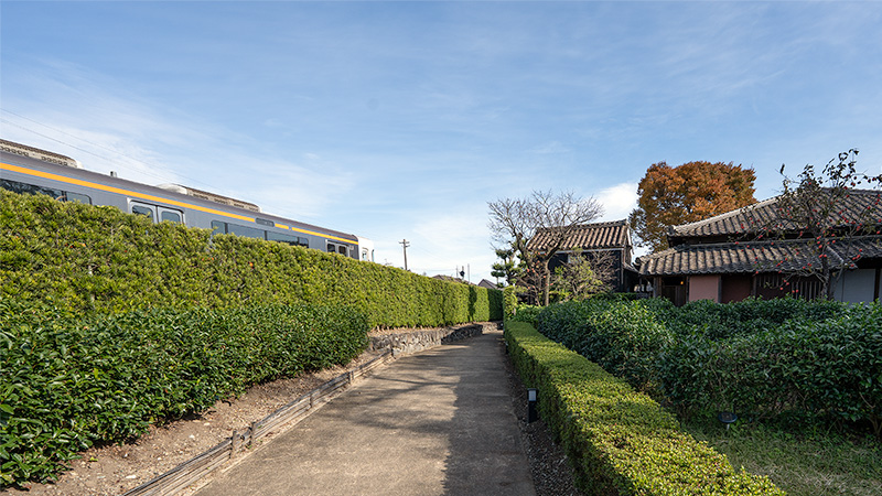 上下二段の生垣