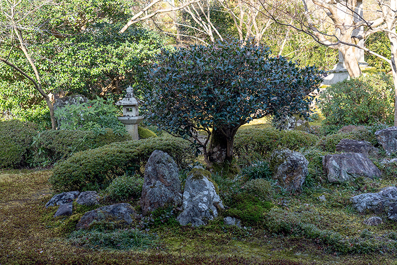 鶴