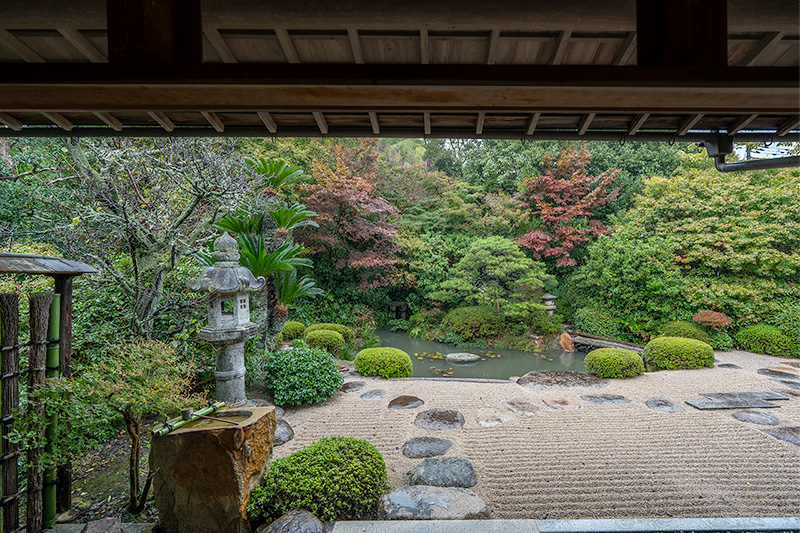 広縁越しの池泉庭園