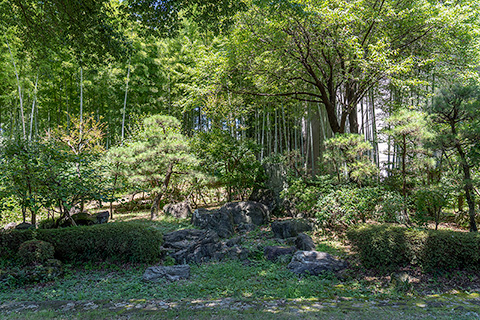 群馬の森　日本庭園