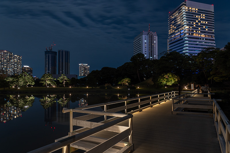 お伝い橋とウォーターズ竹芝