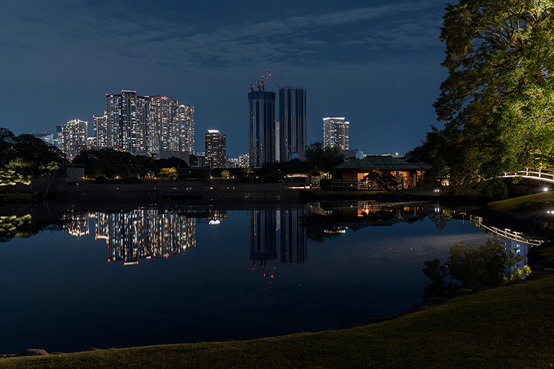 2025年だけの特別ルート