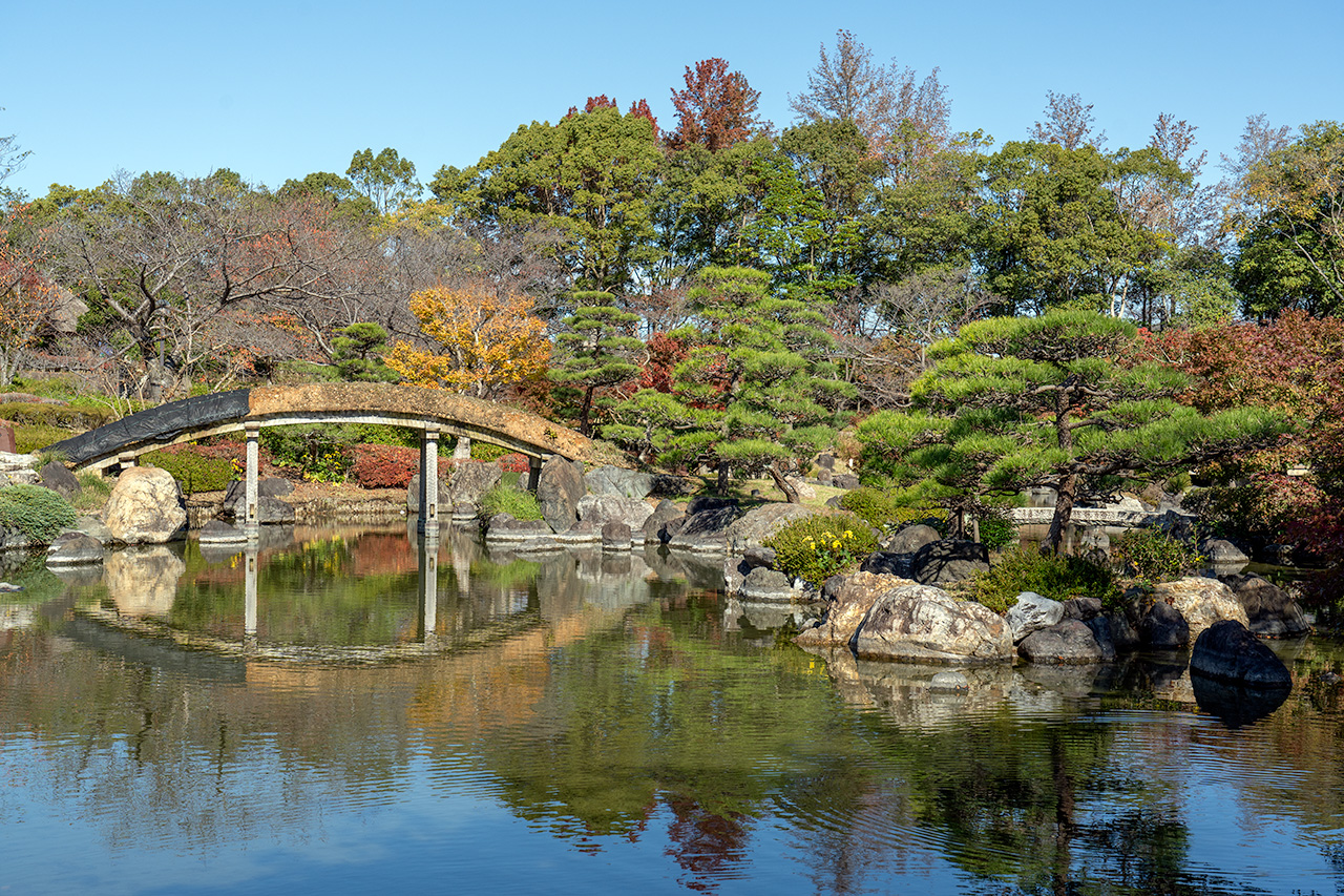 土橋