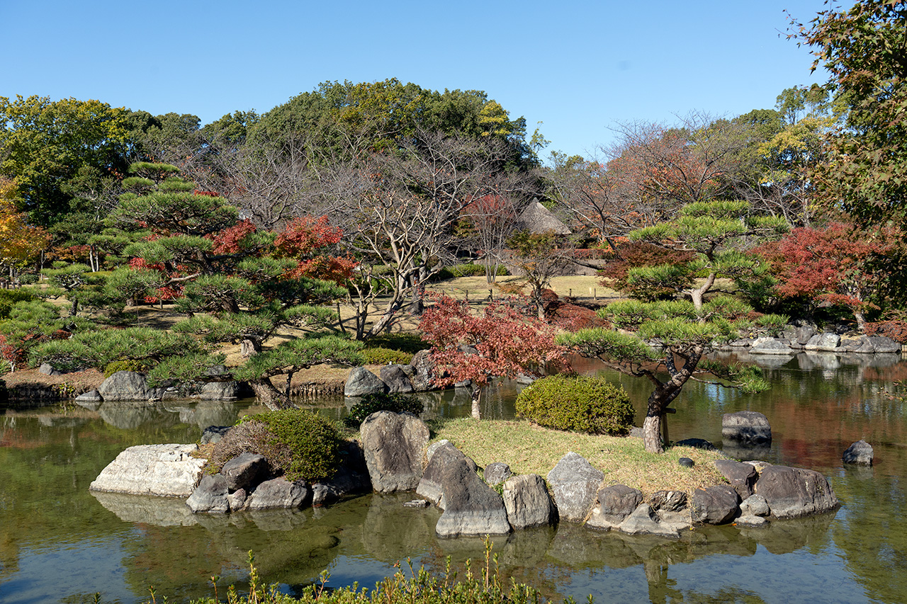 亀島のような中島