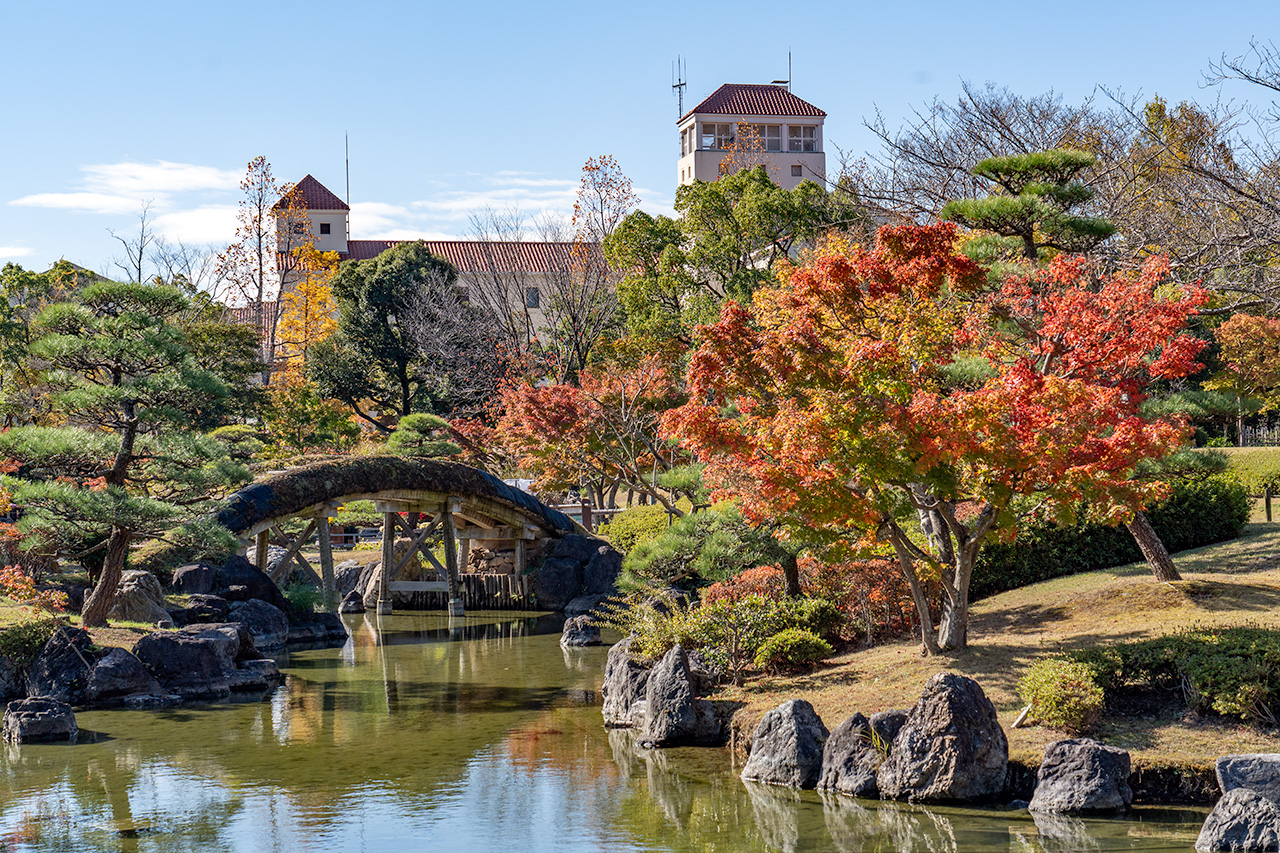 土橋