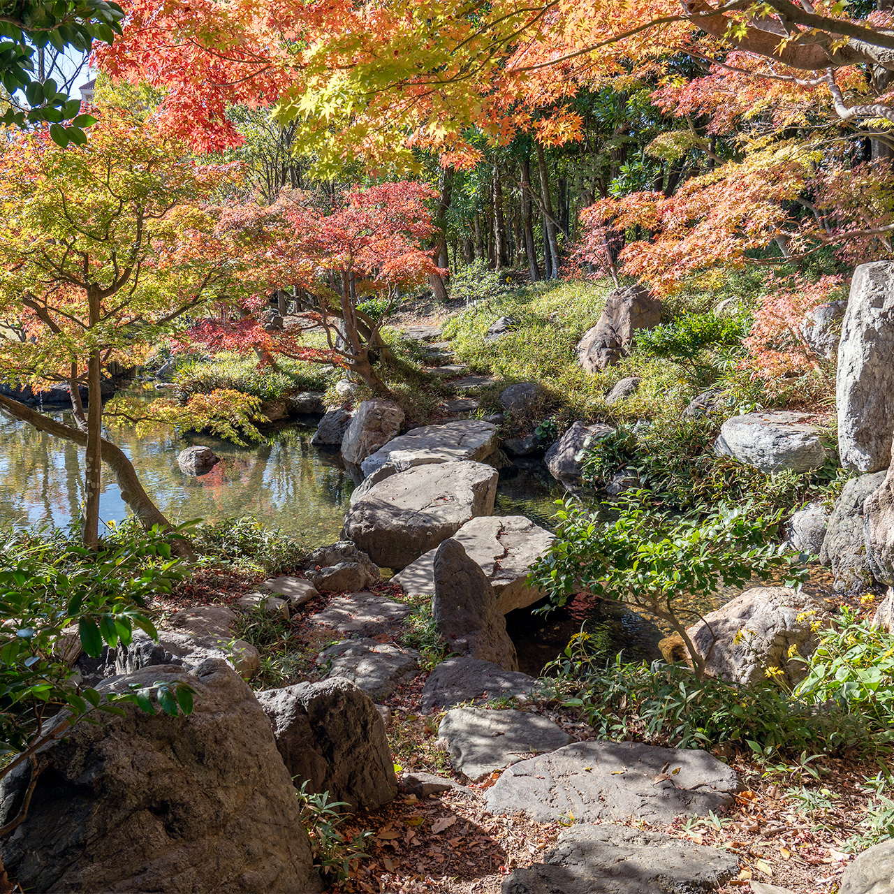 紅葉トンネルを