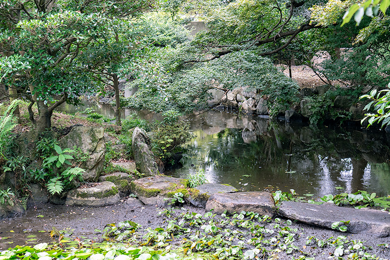 沢飛石