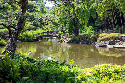 平塚市総合公園　日本庭園