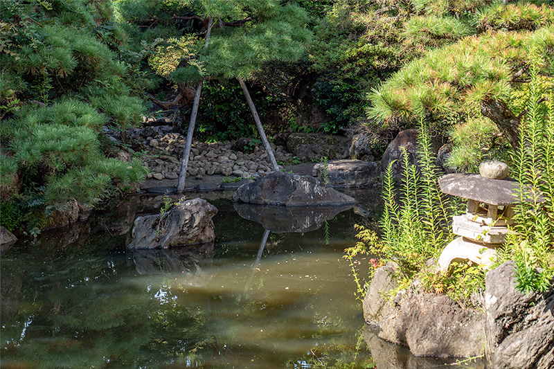 池泉庭園