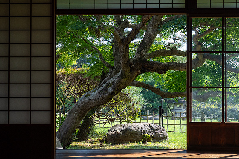 額縁庭園