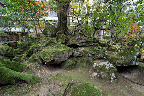 法師庭園