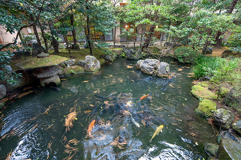 法師庭園