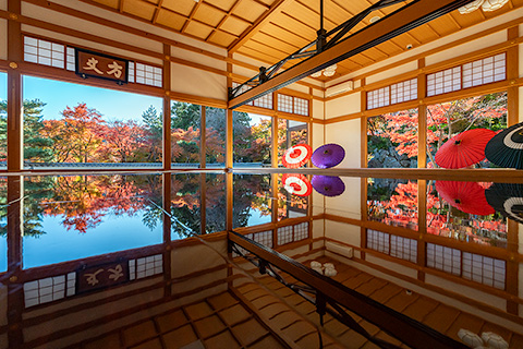 宝徳寺　床もみじ