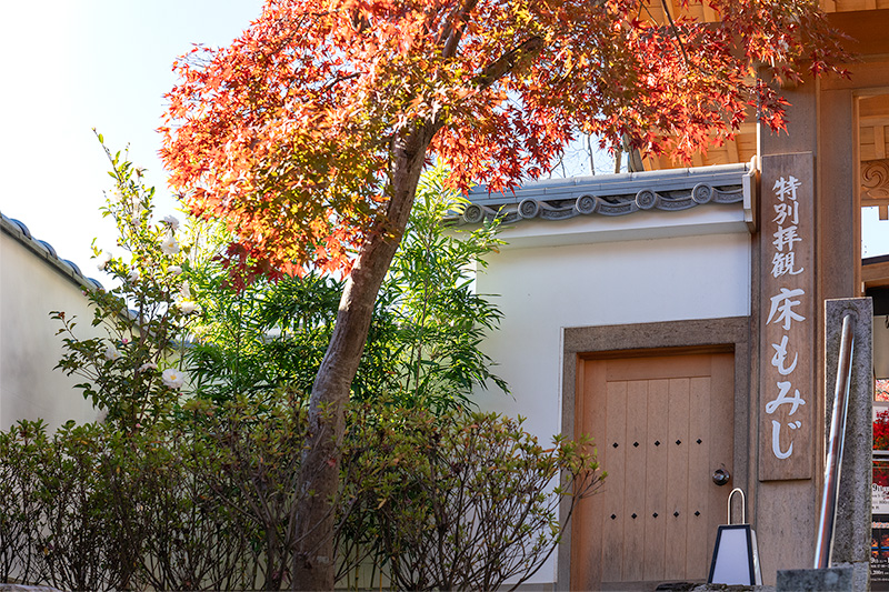 宝徳寺　特別公開