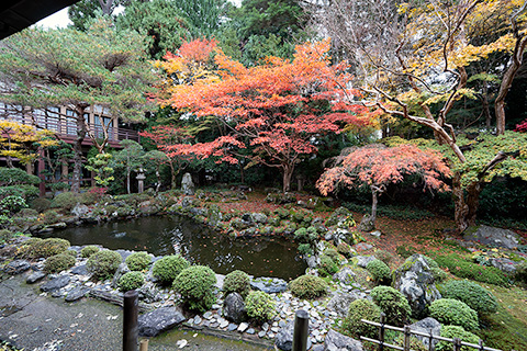 宝善院