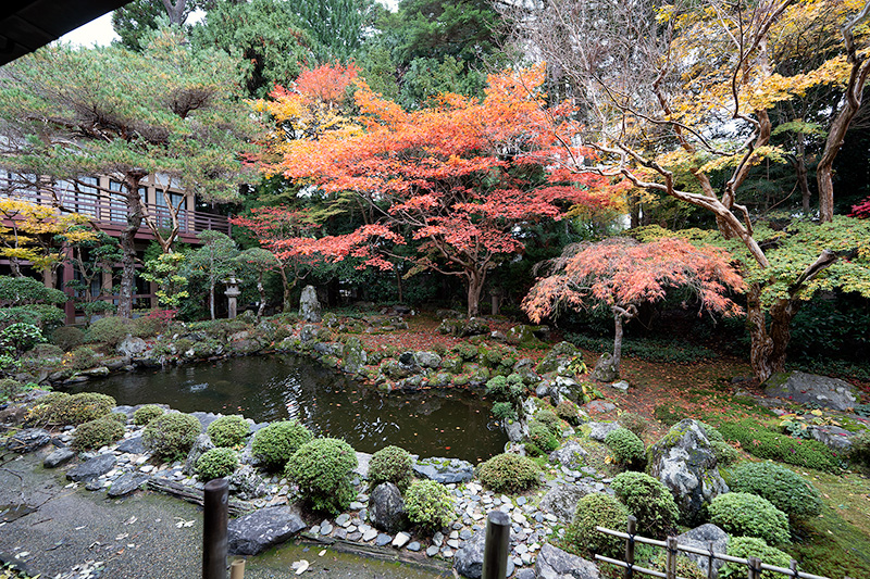 宝善院庭園