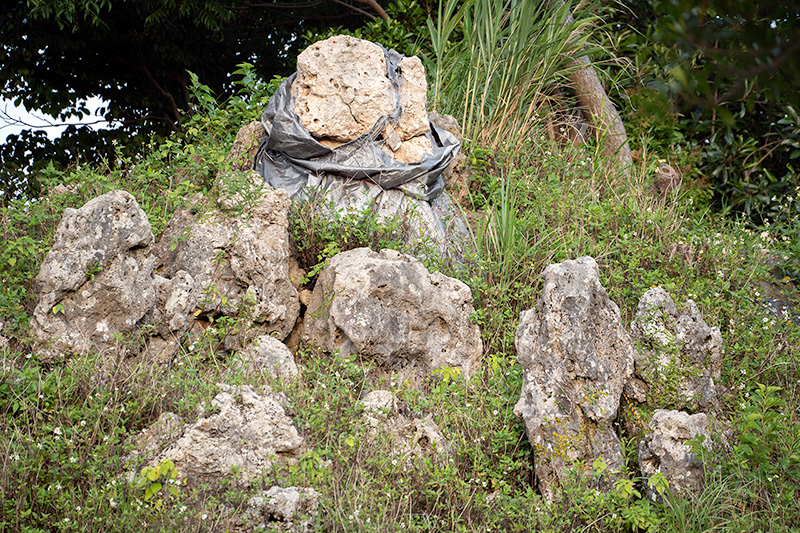 琉球石灰岩の岩盤