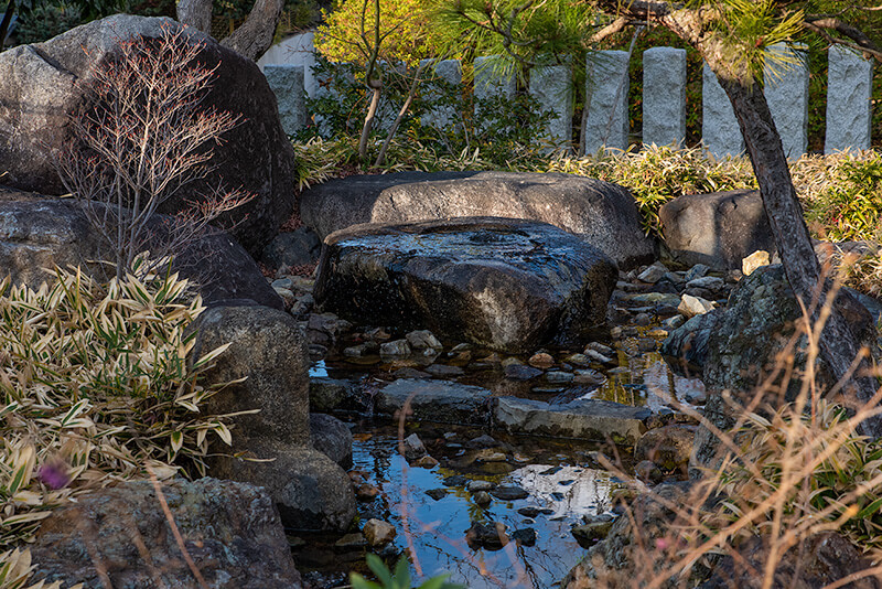 生駒山からの湧水