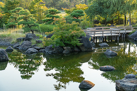 鳥屋野潟公園 日本庭園