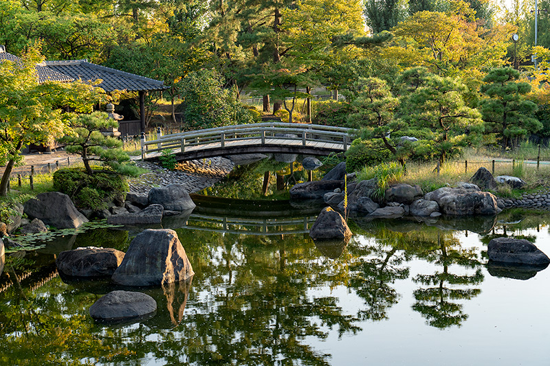 木橋