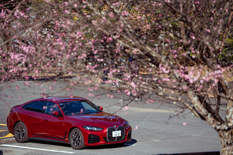 梅とBMW420グランクーペ