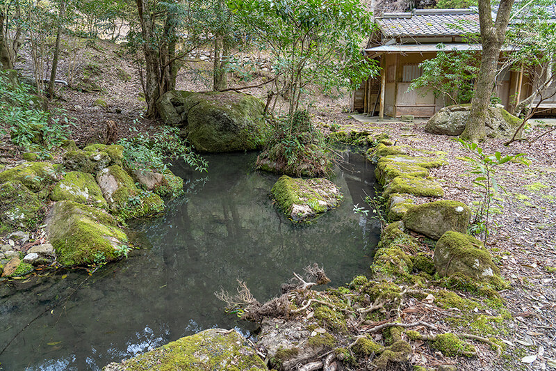 池泉の周辺の石組は保存されている